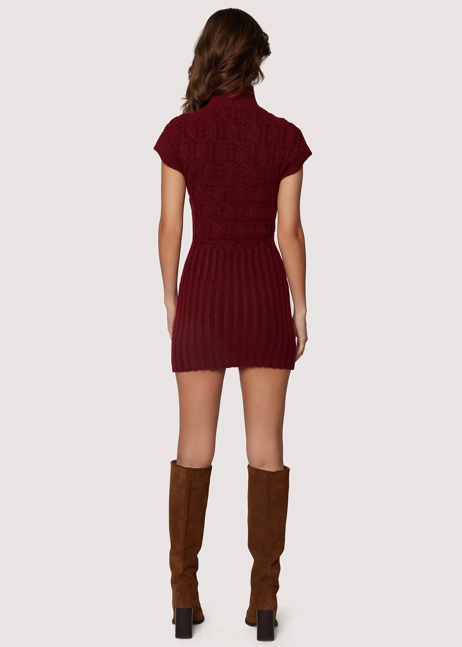 Beatrice Mock Neck Sweater Dress