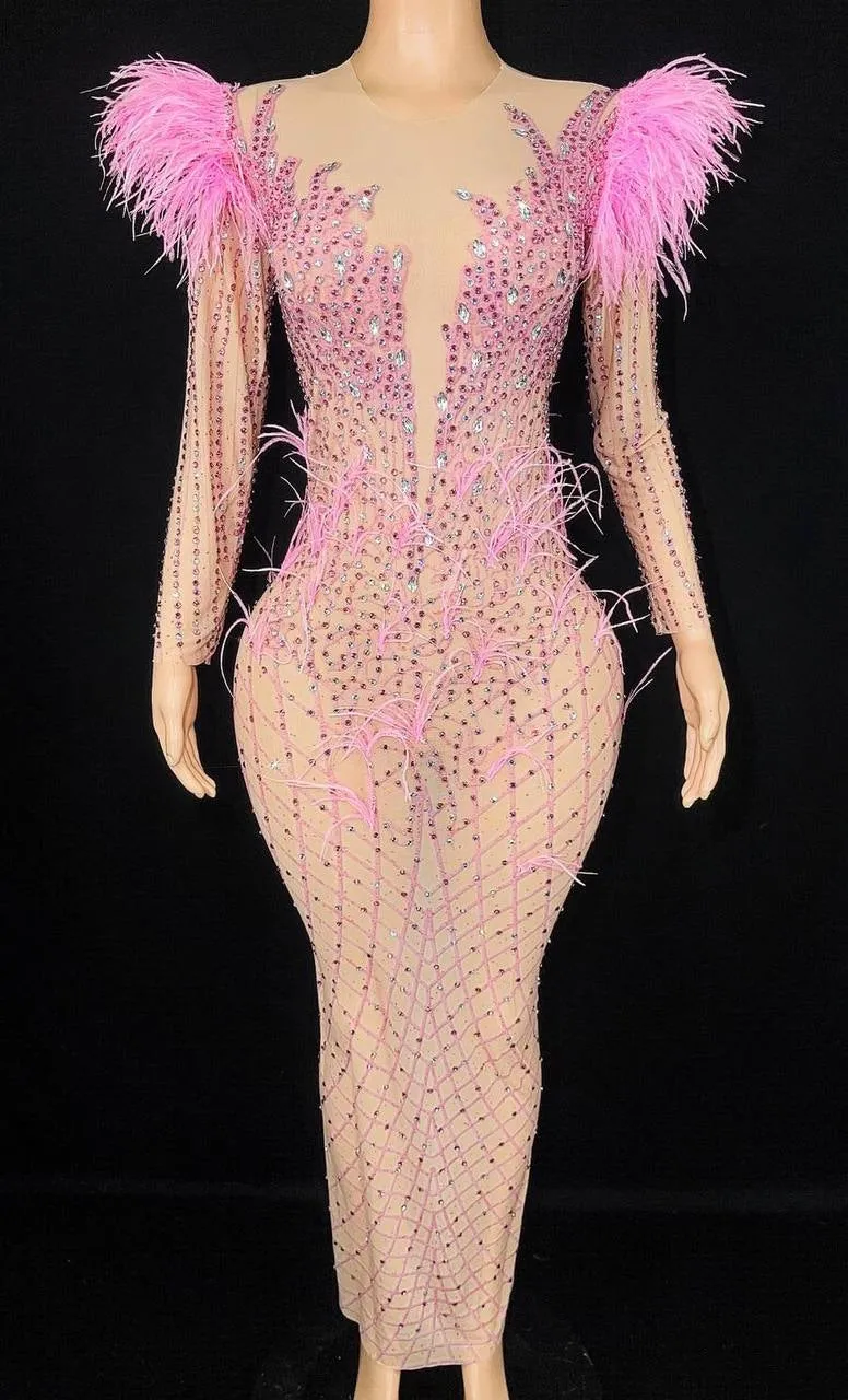 Luxury See Through Feather Dress