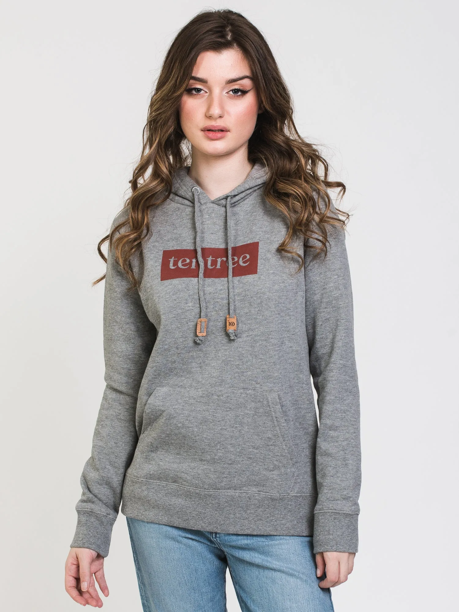 TENTREE WORDMARK PULLOVER HOODIE  - CLEARANCE